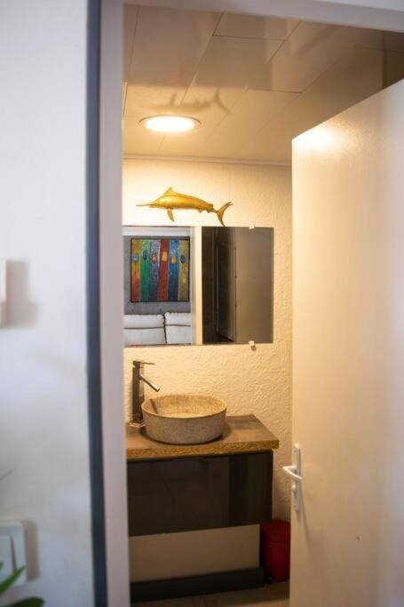 Apartament Le Flamboyant Saint-Gilles Les Bains Zewnętrze zdjęcie